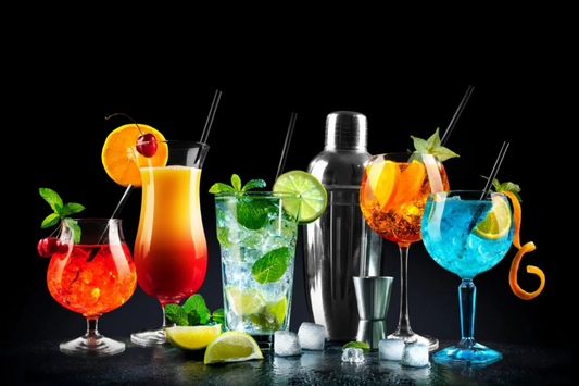 NC-69 CITRUS Fruit Cocktail Modern Wall Art TG