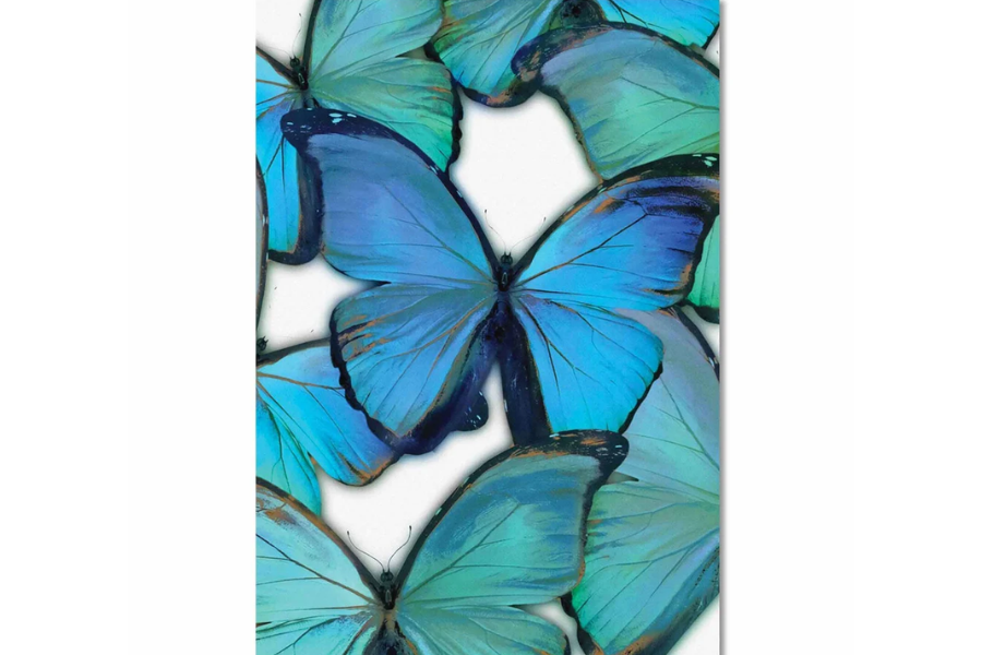 GRACE Radiant Blue Butterflies Modern Wall Art TG