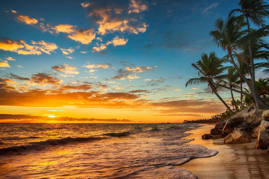 EDEN Beachfront Paradise Modern Wall Art TG