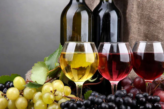 DEGUSTATION Wine Country Elegance Modern Wall Art TG