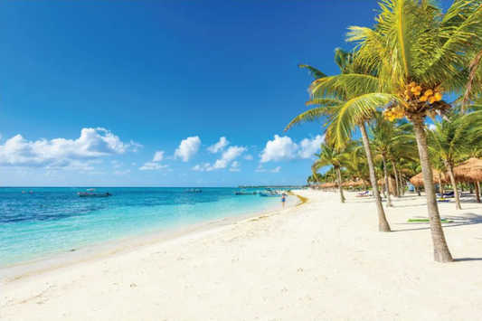 NC-02 LUSH Coconut Palms on White Sands Modern Wall Art TG