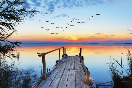 NC-22 SERENE Calm Sunset in a Lake Modern Wall Art TG