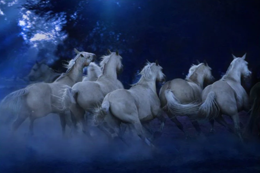 NC-40 EQUINE Horse Running Modern Wall Art TG