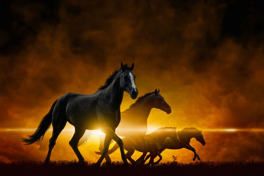 PA-2003 ROOK Four Horses Wall Art Print TG