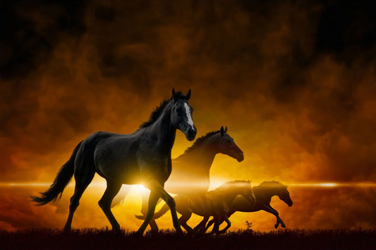 PA-2003 ROOK Four Horses Wall Art Print TG