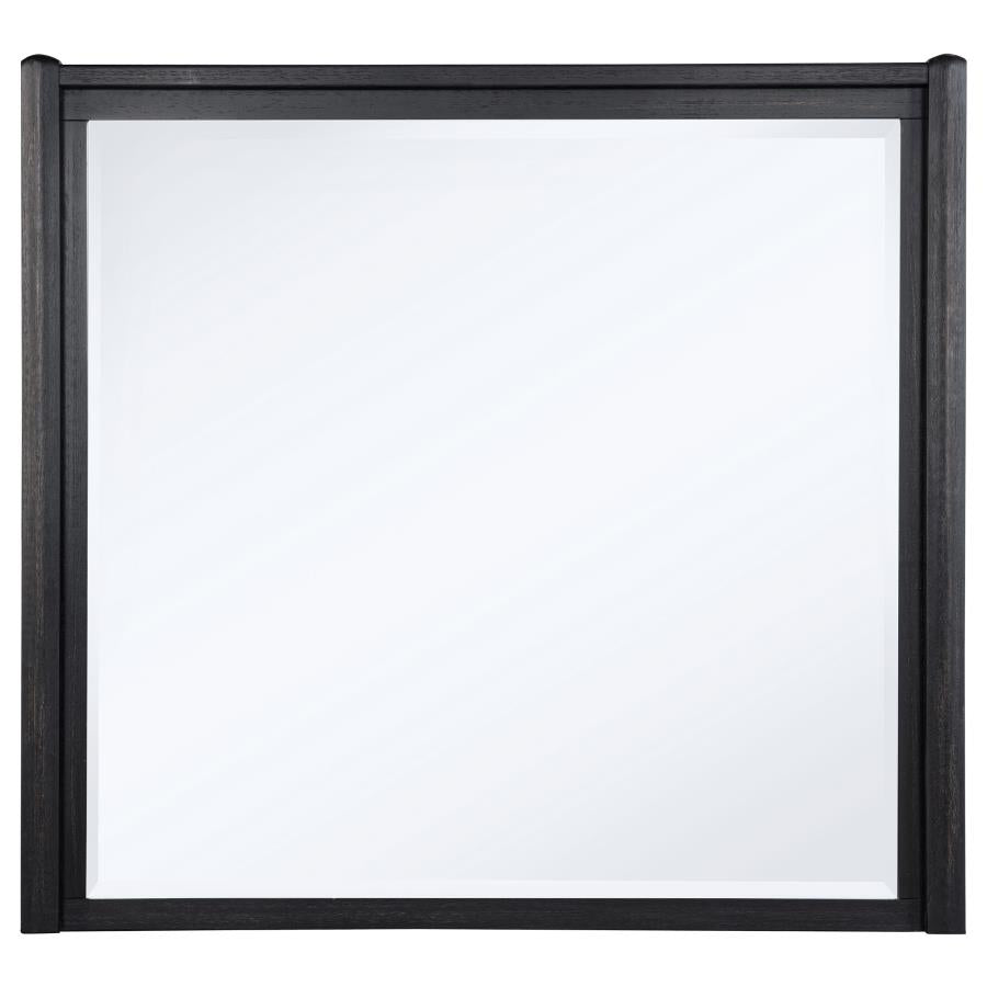 Leandro Dresser Mirror Burnished Black 222494 - Venini Furniture 