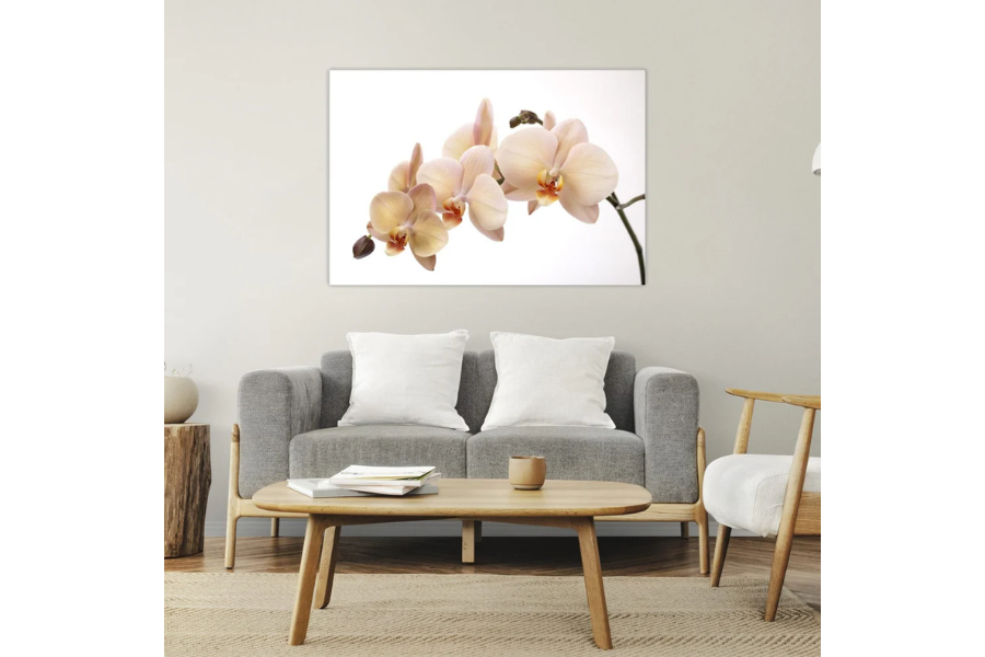 NC-12 VANILLA Orchid Radiance Modern Wall Art TG