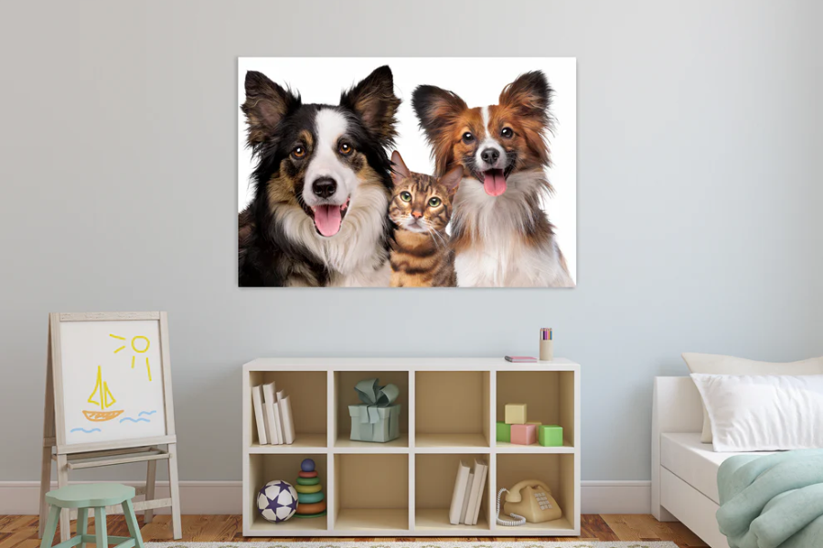 NC-52 FLINT Border Collie & Cat Wall Art Print TG