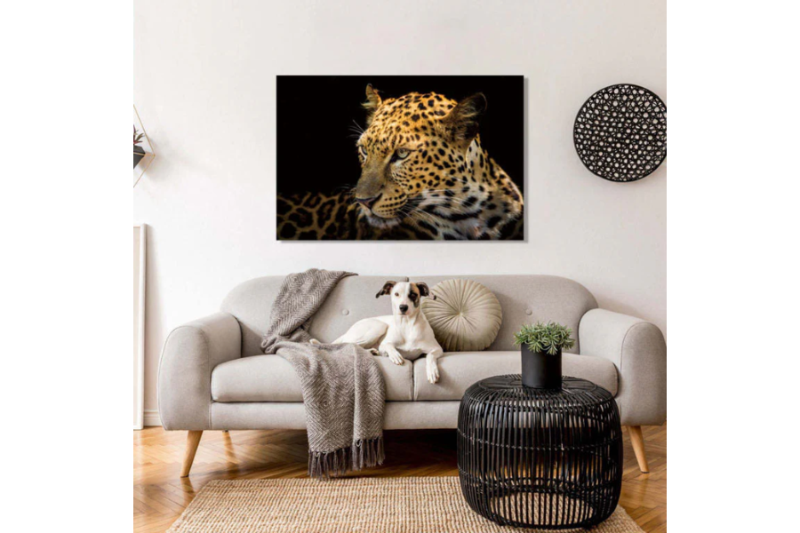RAYNE Focused Leopard Wall Art Print TG