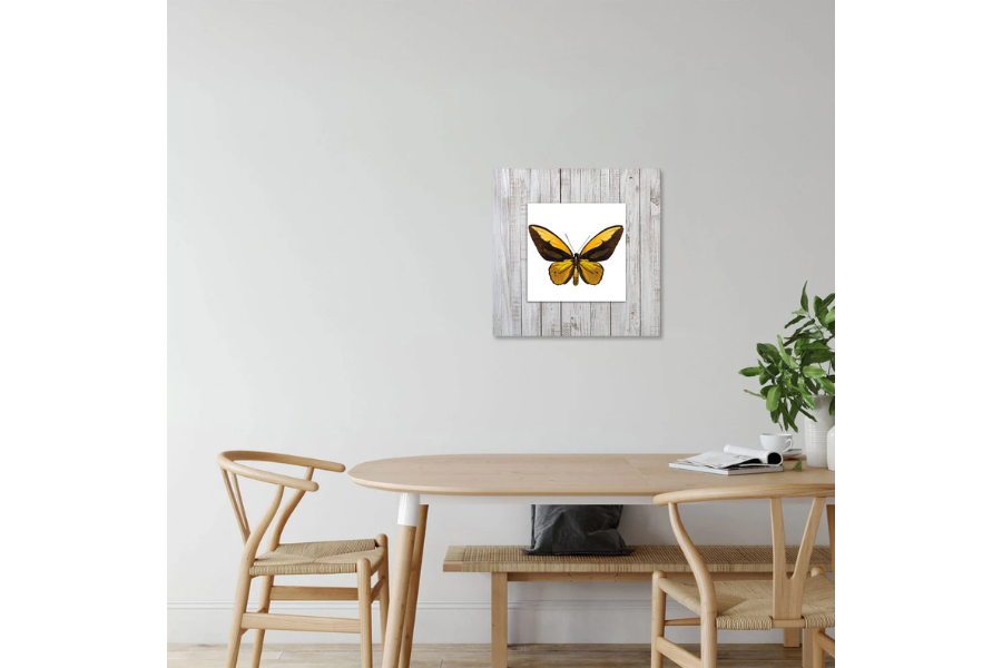EXOR Butterfly with Background Miniature Fine Wall Art TG