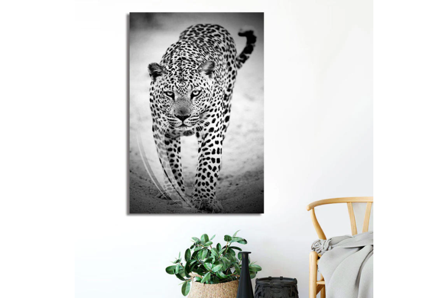 TATE Black & White Leopard Wall Art Print TG
