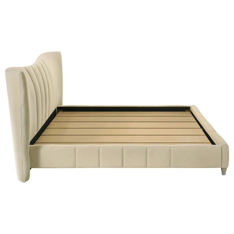 Evelyn Upholstered Queen OR Eastern King Panel Platform Bed Ivory - Venini Furniture 