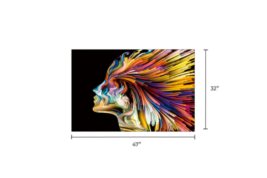 SU-22304 DANE Colorful Lady Facing Left Wall Art Print TG