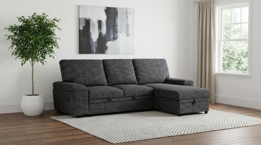 Demko Sleeper Sectional Sofa with Speaker and Storage Chaise Black