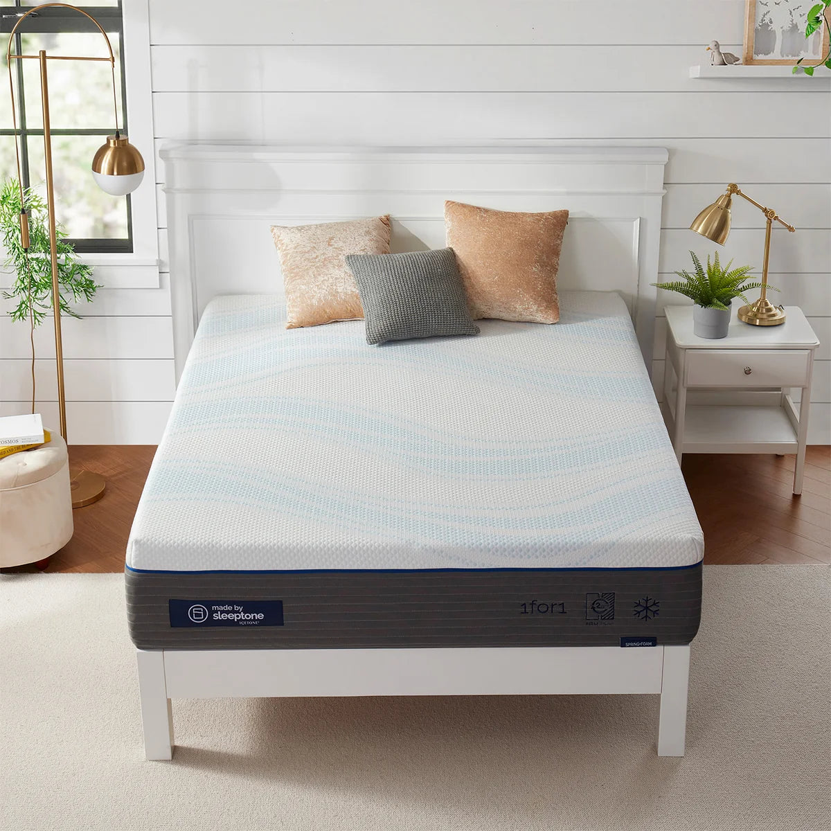 Sleeptone 12 in Foam Mattress