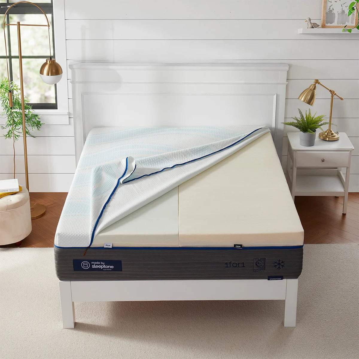 Sleeptone 12 in Foam Mattress
