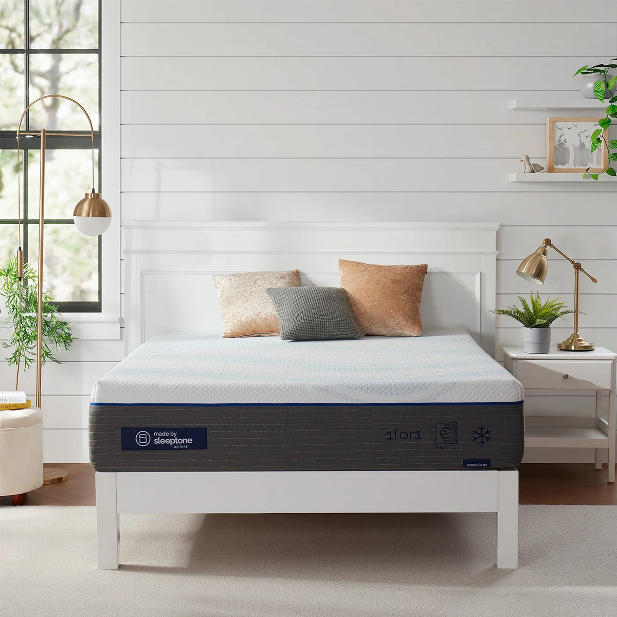 Sleeptone 12 in Foam Mattress